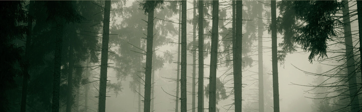 ส่วนบนสุดของเว็บไซต์